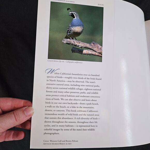 Wild Birds of California By David Luca Paperback - Picture 3 of 8